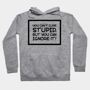 You can't cure stupid, but you can ignore it! Idiots are Everywhere! Hoodie